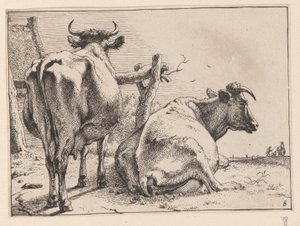 Twee koeien van achteren gezien, van verschillende ossen en koeien door Paulus Potter