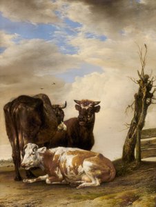 Twee Koeien en een Jonge Stier naast een Hek in een Weide door Paulus Potter