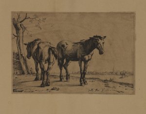 Twee paarden door Paulus Potter