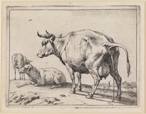  door Paulus Potter
