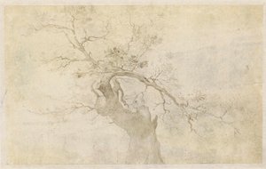 Studie van een knoestige boom door Paulus Willemsz. van Vianen