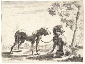 Twee honden aan elkaar gebonden