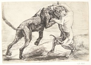 Twee honden die vechten