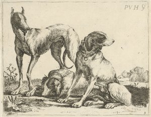 Drie honden