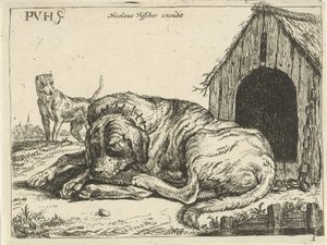 Liggende hond aan een ketting door Pauwels van Hillegaert