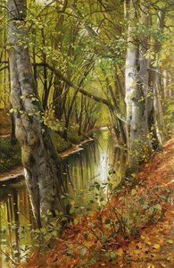 Een Bebost Rivierlandschap