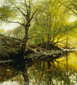 Een Bebost Rivierlandschap