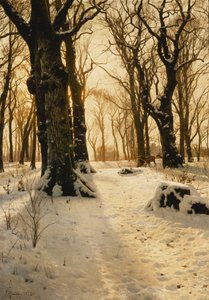 Een Bosachtig Winterlandschap met Herten
