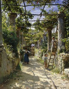 In de Schaduw van een Italiaanse Pergola, Een Warme Middag in Anacapri