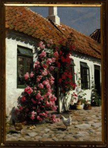 Klimrozen bij de boerderij door Peder Monsted