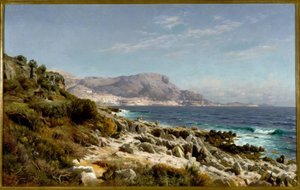 Kust bij Monte Carlo