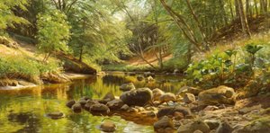 Zonnige bosbeek
