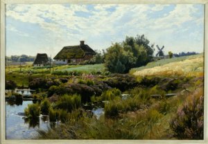 Zomerdag op het platteland