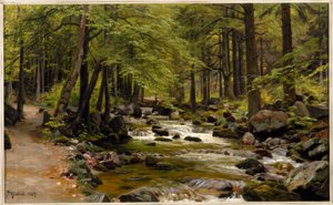 Bosbeek in de lente