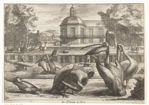 Pelikanen door Peeter Boel (attributed to)