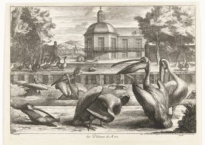 Pelikanen door Peeter Boel (attributed to)
