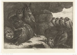 Uilen in een grot door Peeter Boel (attributed to)