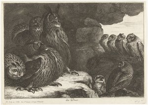 Uilen in een grot door Peeter Boel (attributed to)