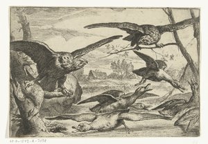 Roofvogels door Peeter Boel