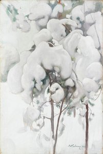  door Pekka Halonen