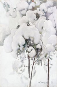 Met sneeuw bedekte dennenzaailingen