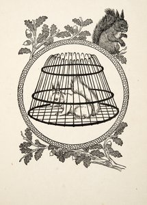 Een vluchteling eekhoorn, uit Honderd anekdotes van dieren, pub. 1924 door Percy J. Billingshurst