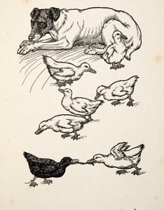 Een bijzondere pleegmoeder, uit Honderd anekdotes van dieren, pub. 1924