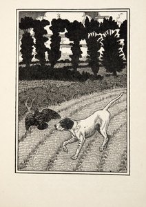 De jager misleiden, uit Honderd anekdotes van dieren, pub. 1924 door Percy J. Billingshurst