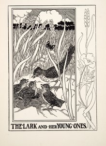De leeuwerik en haar jongen, uit A Hundred Fables of Aesop, uitgegeven 1903 (gravure) door Percy J. Billingshurst