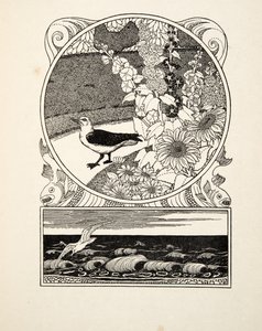 De tamme meeuw, uit Honderd anekdotes van dieren, uitgegeven 1924 (gravure)