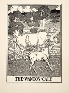 Het wellustige kalf, uit Honderd fabels van Aesopus, uitgegeven 1903