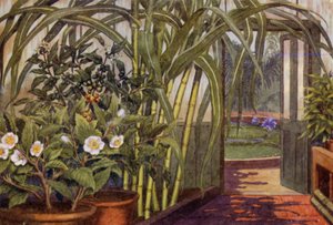 Suikerriet, theeplant en koffieplant door Percy James Billinghurst