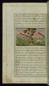 Een vos en een trommel uit Lichten van Canopus door Persian School