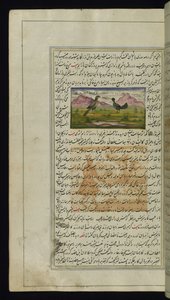 Een havik en een hen uit Lichten van Canopus door Persian School