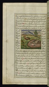 Een jakhals verslindt een haas uit Lichten van Canopus, 1847 door Persian School