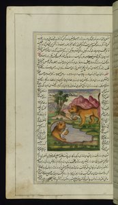 Een boze leeuw, bedrogen door een haas, kijkt in een put en ziet zijn reflectie uit Lichten van Canopus door Persian School