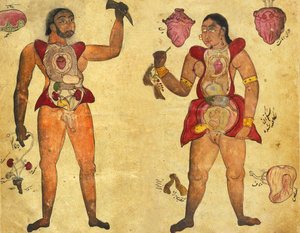 Anatomische illustratie van een man en een vrouw die hun eigen interne organen vasthouden, gepubliceerd in Tibb-i Akbar, "De geneeskunde van Akbar" c.1700