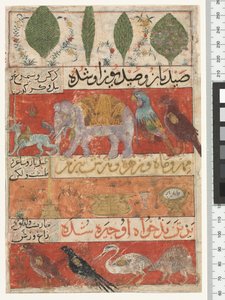 Dieren, vogels en planten, Ilkhanid-periode, 1341