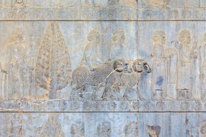 Bas-reliëfs op de muren van het Apadana-paleis en trap, Persepolis, Iran door Persian School