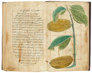 Hassan Bin Baqir Bin Jarrah: Gulzar Al-Rayahin, Qajar Iran door Persian School