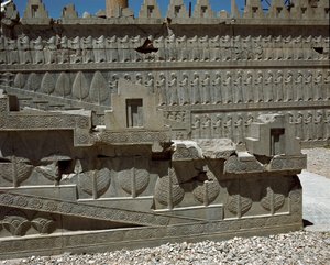 Reliëfs van de oostelijke trap van de Apadana, 6e eeuw v.Chr. door Persian School