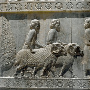 Sogdiërs brengen geschenken aan Darius I. Reliëfs van de oostelijke trap van de Apadana, 6e eeuw v.Chr. door Persian School