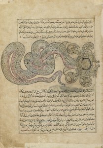 De Zeeslang (al-Tannin), folio uit Ajaib al-makhluqat (Wonderen der Schepping) door al-Qazvini, Irak of Oost-Turkije door Persian School