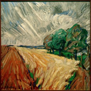 Na de regen (landschap)