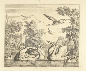 Drie zwanen en andere vogels bij een vijver