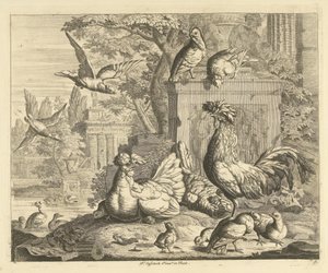 Haan, hen met kuikentjes en andere vogels in een tuin met antieke ruïnes Verschillende vogels (serie)