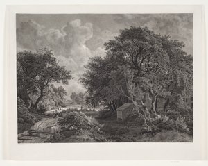 Weg door een Dorp met Hoge Bomen