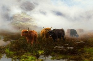 Heide en Mist