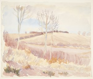 Fyns landschap. Lente door Peter Hansen