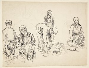 Bietenrooiers. Studieblad door Peter Hansen